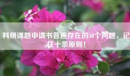 科研课题申请书普遍存在的40个问题，记住十条原则！