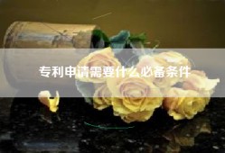 专利申请需要什么必备条件