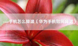 vivo手机怎么降温（华为手机如何降温）