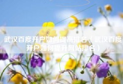 武汉百度开户如何提高排名（武汉百度开户如何提升网站排名）