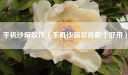 手机沙箱软件（手机沙箱软件哪个好用）