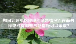 如何处理小区停电的紧急情况？在面对停电时有哪些应急措施可以采取？