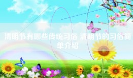 清明节有哪些传统习俗 清明节的习俗简单介绍