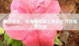 积少成多，用搜狗站长工具拓宽网络覆盖范围