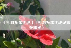 手机浏览器代理（手机浏览器代理设置在哪里）