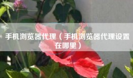 手机浏览器代理（手机浏览器代理设置在哪里）
