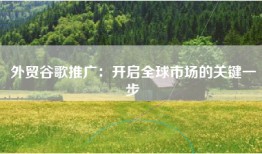 外贸谷歌推广：开启全球市场的关键一步