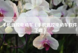 手机遥控电动车（手机遥控电动车软件下载）