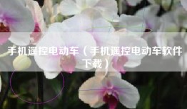 手机遥控电动车（手机遥控电动车软件下载）