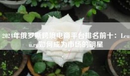2024年俄罗斯跨境电商平台排名前十：Leuu.ru如何成为市场的明星