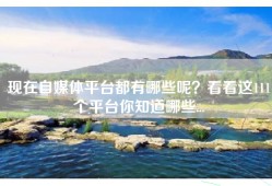 现在自媒体平台都有哪些呢？看看这111个平台你知道哪些...