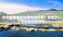 现在自媒体平台都有哪些呢？看看这111个平台你知道哪些...