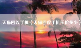 天猫回收手机(天猫回收手机压价多少)