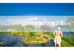APP产品的运营推广方案范文