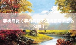 手机网贷（手机网贷不还钱最后会怎么处理）