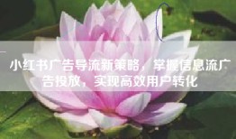 小红书广告导流新策略，掌握信息流广告投放，实现高效用户转化