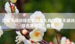 百度关键词排名查询怎么查_百度关键词排名查询怎么查的