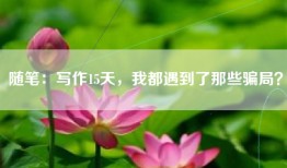 随笔：写作15天，我都遇到了那些骗局？