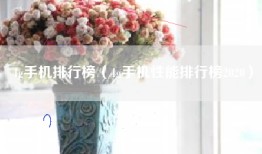 4g手机排行榜（4g手机性能排行榜2020）