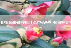 胆管癌肝转移吃什么中药好？有何好处？