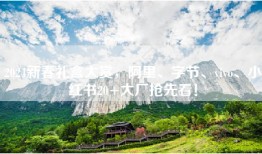 2024新春礼盒大赏，阿里、字节、vivo、小红书20+大厂抢先看！