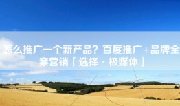 怎么推广一个新产品？百度推广+品牌全案营销「选择·极媒体」