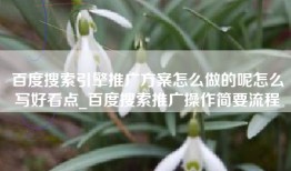 百度搜索引擎推广方案怎么做的呢怎么写好看点_百度搜索推广操作简要流程