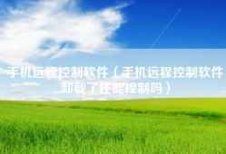 手机远程控制软件（手机远程控制软件卸载了还能控制吗）