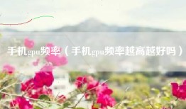 手机gpu频率（手机gpu频率越高越好吗）