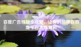 百度广告投放全攻略，让你的品牌在百度平台大放异彩