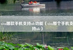 vivo哪款手机支持nfc功能（vivo那个手机支持nfc）