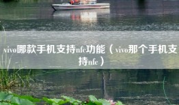 vivo哪款手机支持nfc功能（vivo那个手机支持nfc）