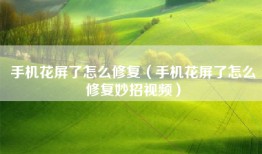 手机花屏了怎么修复（手机花屏了怎么修复妙招视频）