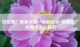 百度推广费多少钱一年啊知乎_百度推广的费用怎么算的