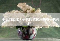 手机同质化（手机同质化只能看手机壳吗）