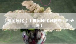 手机同质化（手机同质化只能看手机壳吗）