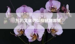 写的文章可以投稿到哪里
