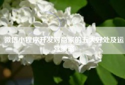 微信小程序开发对商家的五大好处及运营策略