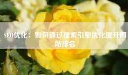 SEO优化：如何通过搜索引擎优化提升网站排名
