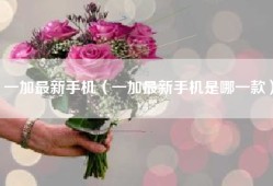 一加最新手机（一加最新手机是哪一款）