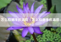怎么检测手机温度（怎么检测手机温度vivo）