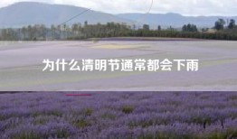 为什么清明节通常都会下雨