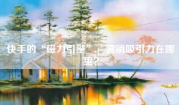 快手的“磁力引擎”，营销吸引力在哪里？