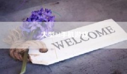 大型3d手机游戏