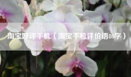 淘宝好评手机（淘宝手机评价语80字）