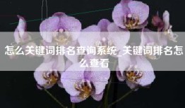 怎么关键词排名查询系统_关键词排名怎么查看