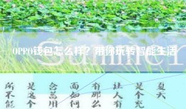OPPO钱包怎么样？带你玩转智能生活