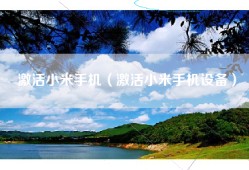 激活小米手机（激活小米手机设备）
