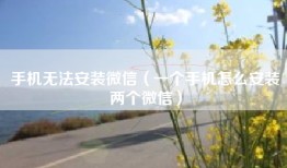 手机无法安装微信（一个手机怎么安装两个微信）