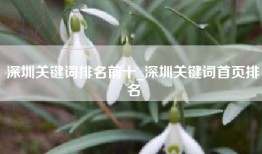 深圳关键词排名前十_深圳关键词首页排名